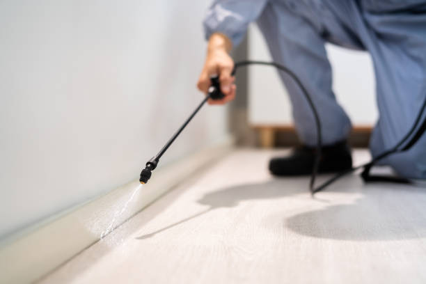 Licensed Exterminator service in Pomona Park, FL - Show Me Pest Control