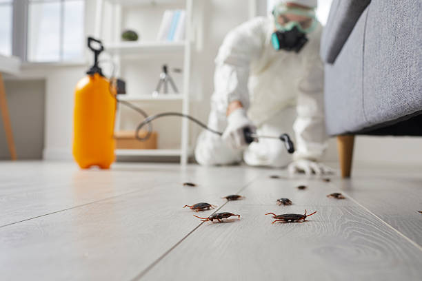 Commercial Rodent Management in Pomona Park
